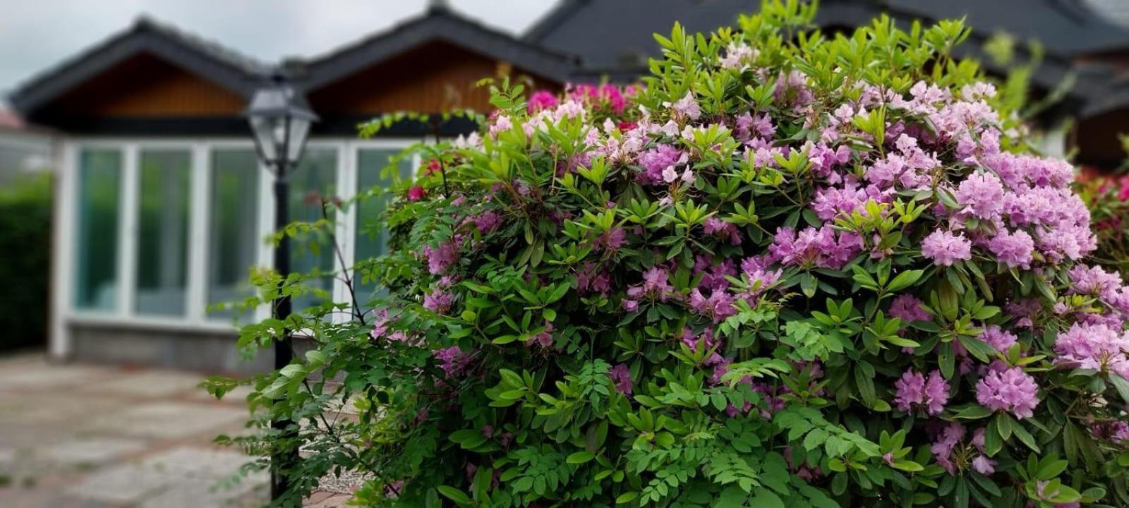Ferienwohnung Kleine Kegelrobbe Burhave Esterno foto